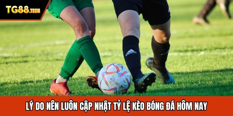 Lý do nên luôn cập nhật tỷ lệ kèo bóng đá hôm nay